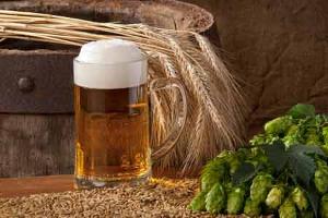 10 reasons beer is not bad for you